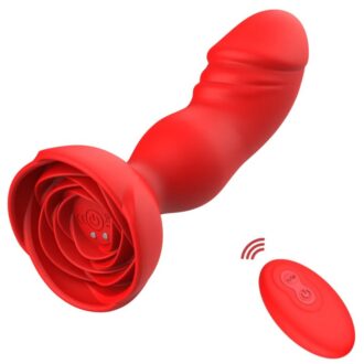 Blooming rose