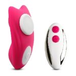 Vibrator with Magnet